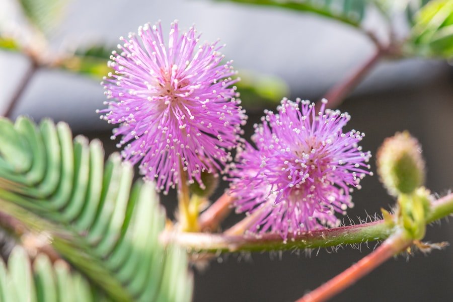 Photo Compound Interest